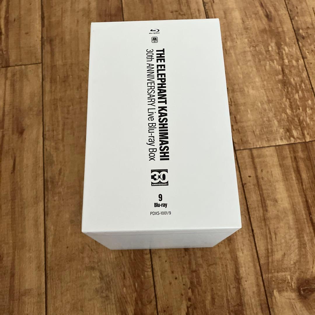 THE ELEPHANT KASHIMASHI 30th ANNIVERSARY