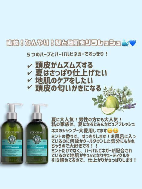 新品】ロクシタンピュアフレッシュネスシャンプー