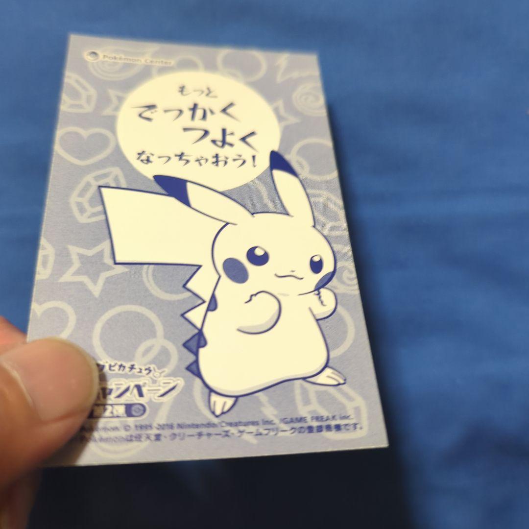 【非売品】メガリザードンYのポンチョを着たピカチュウ ②