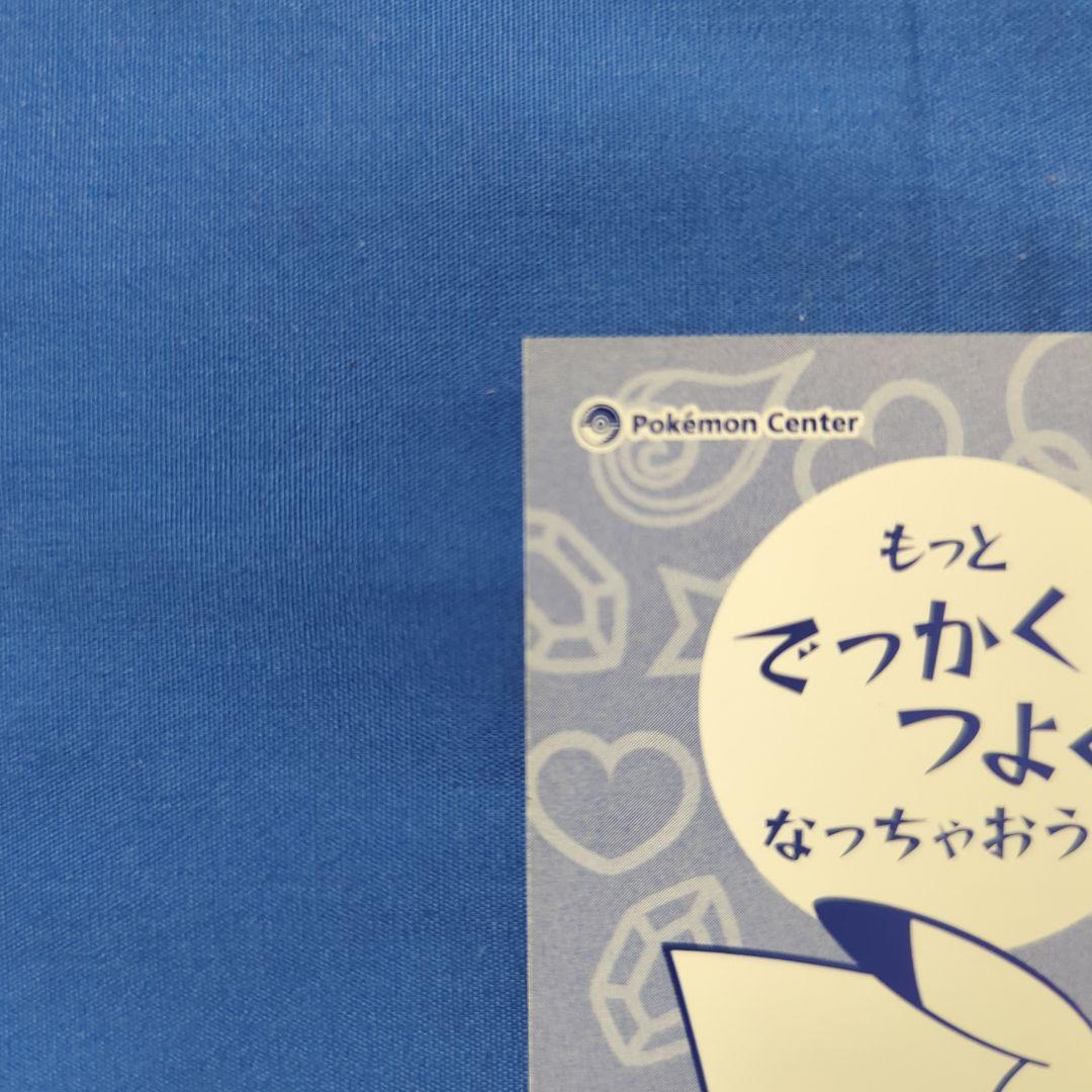 【非売品】メガリザードンYのポンチョを着たピカチュウ ②