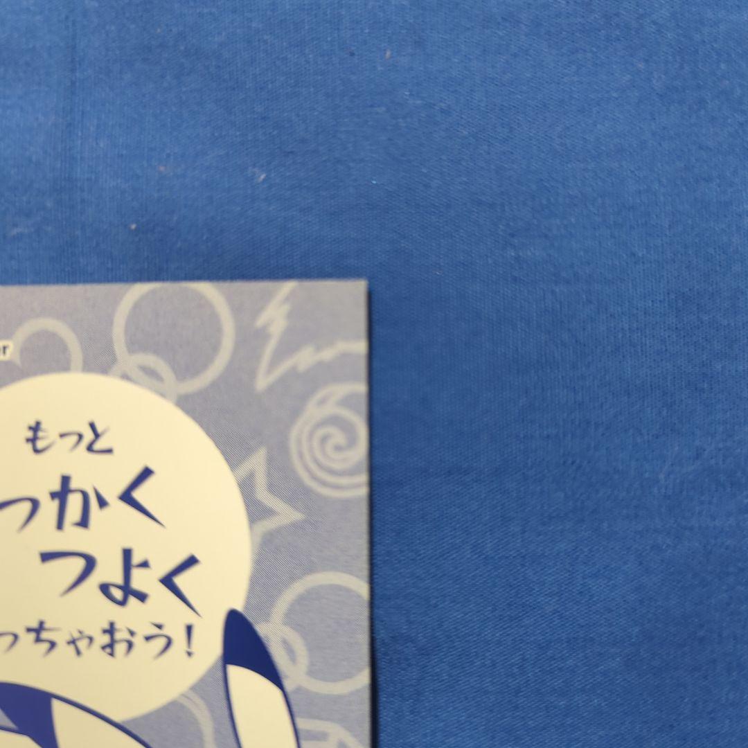 【非売品】メガリザードンYのポンチョを着たピカチュウ ②