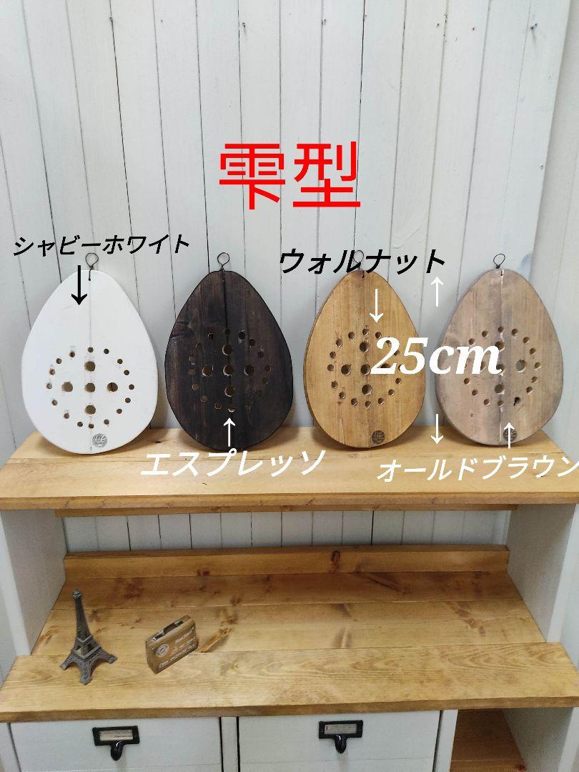 Q018激レア貴重種！大株！ヒドノフィツム カミニフェラム現地球