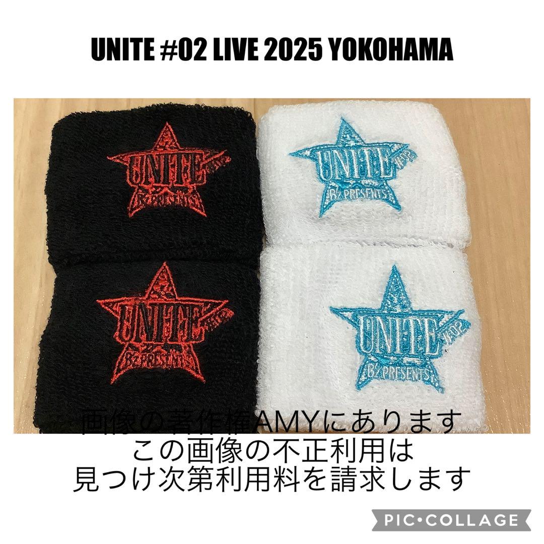 B'z UNITE #02 2025 横浜 ガチャ　フルコンプ　15種　セット B'z UNITE #02 2025 ガチャ リストバンド セット - メルカリ