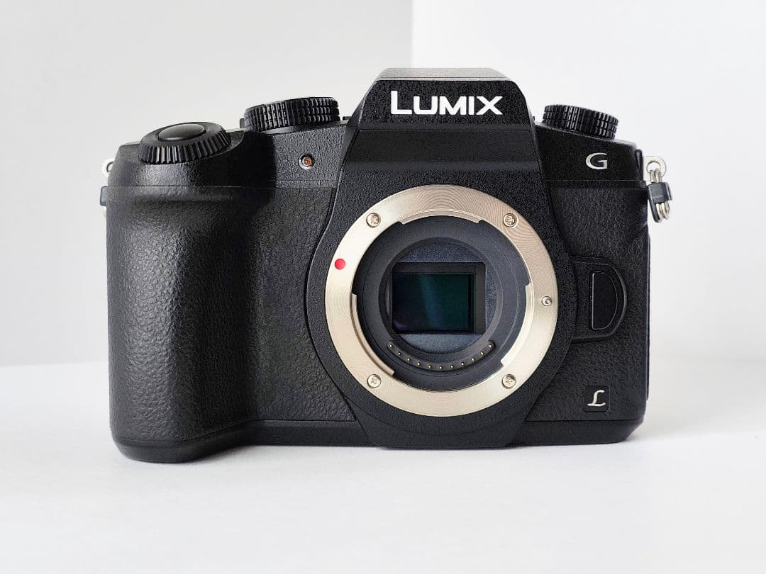 美品 パナソニック LUMIX DMC-G8 ショット数4458回