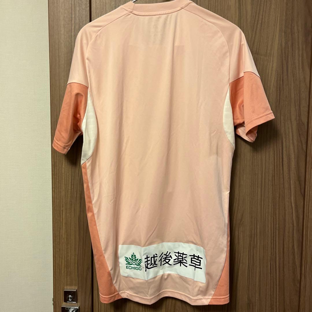 【期間限定出品】2025 adidas正規品　アルビレックス新潟　トレーニング