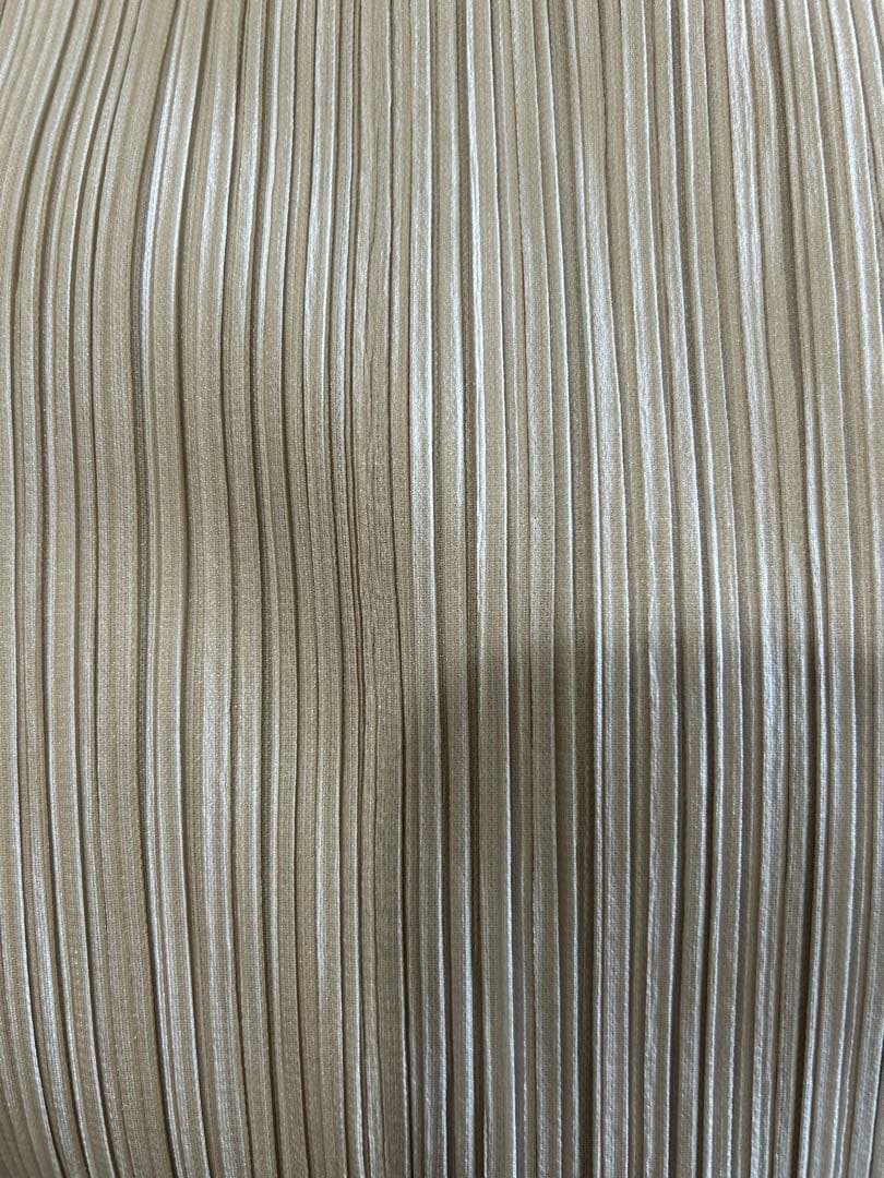 ⭐️プリーツプリーズリーフ&スパイスベージュトップス見着用極美品⭐️