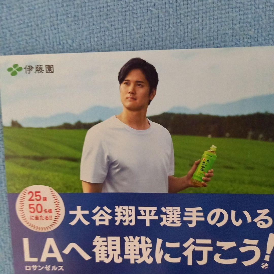 伊藤園おーいお茶キャンペーン(大谷翔平)応募ハガキ - メルカリ