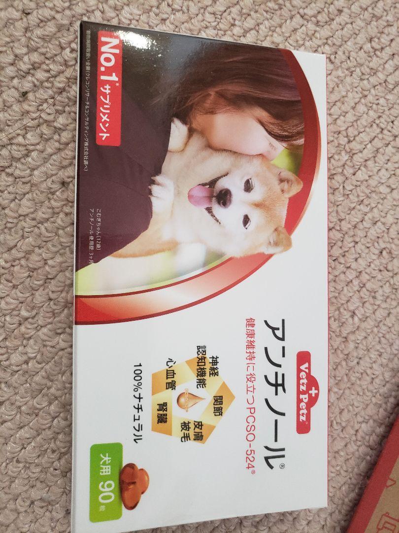 期間限定】 犬用品-アンチノール90粒×2箱 - ec.ajk.gov.pk 期間限定】 犬用品-アンチノール90粒×2箱 - ec.ajk.gov.pk