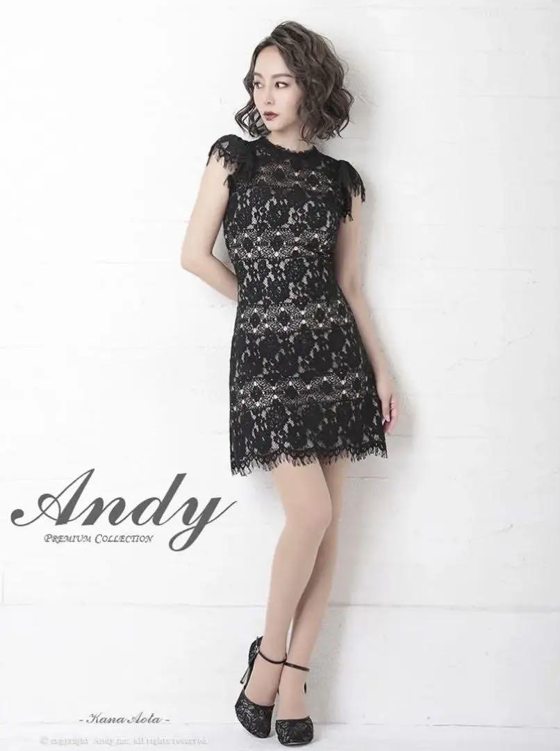 Andy アンディ レース ミニドレス キャバドレス Mサイズ