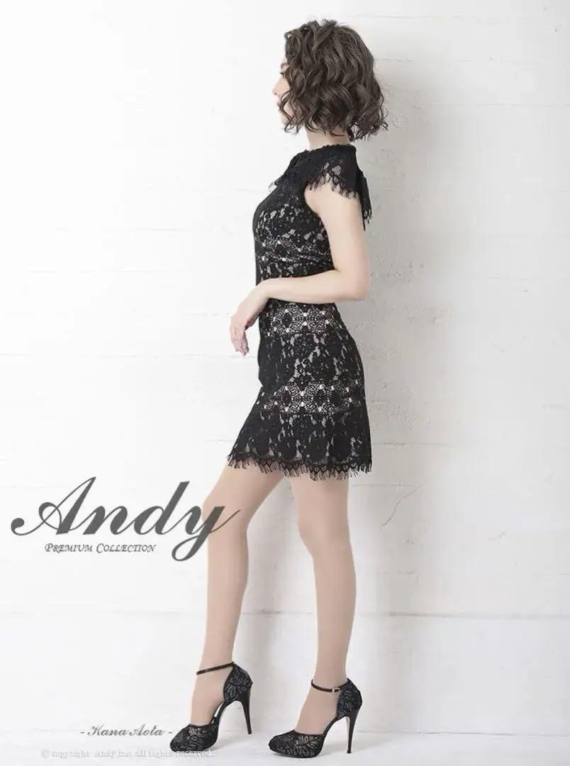 Andy アンディ レース ミニドレス キャバドレス Mサイズ
