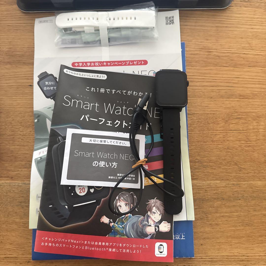 （限定値下げ）チャレンジタッチNEXT　まとめ売り チャレンジタッチネクスト Next2024 - メルカリ