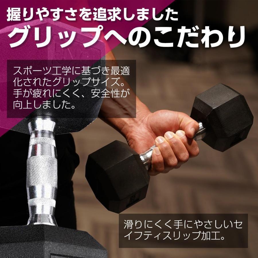 ダンベル10kg 2個セットB621 六角 筋力トレーニング 鉄アレイ