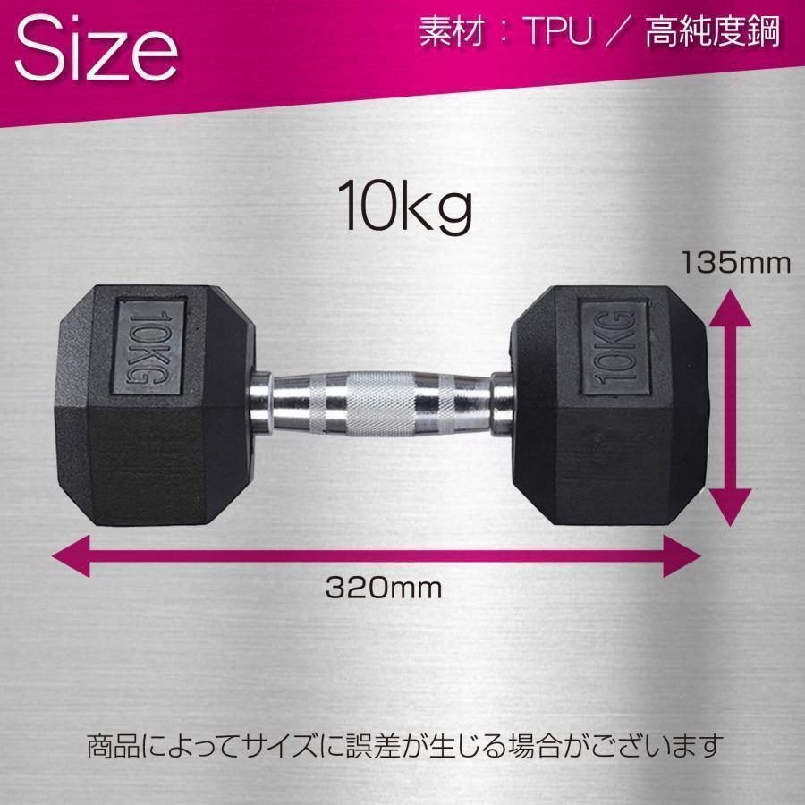 ダンベル10kg 2個セットB621 六角 筋力トレーニング 鉄アレイ