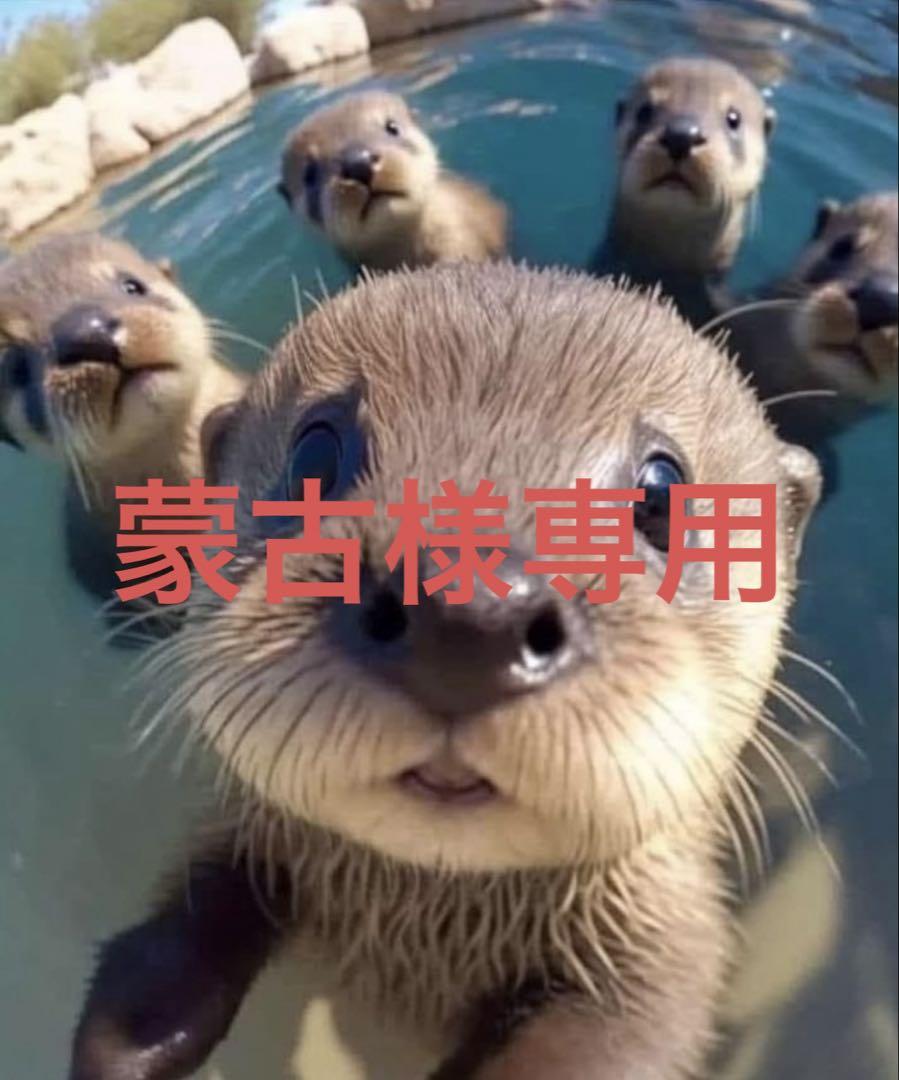 蒙古