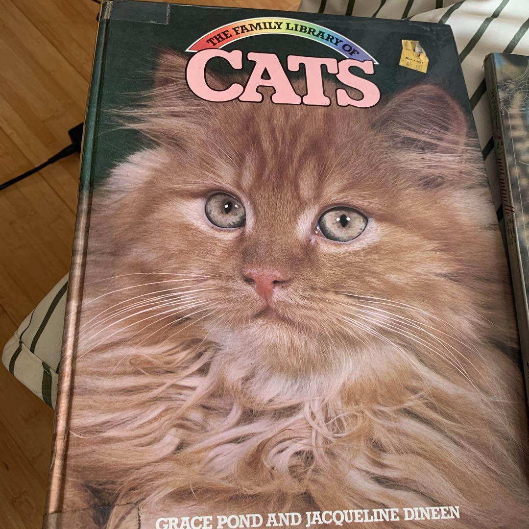 猫の洋書他3冊セット