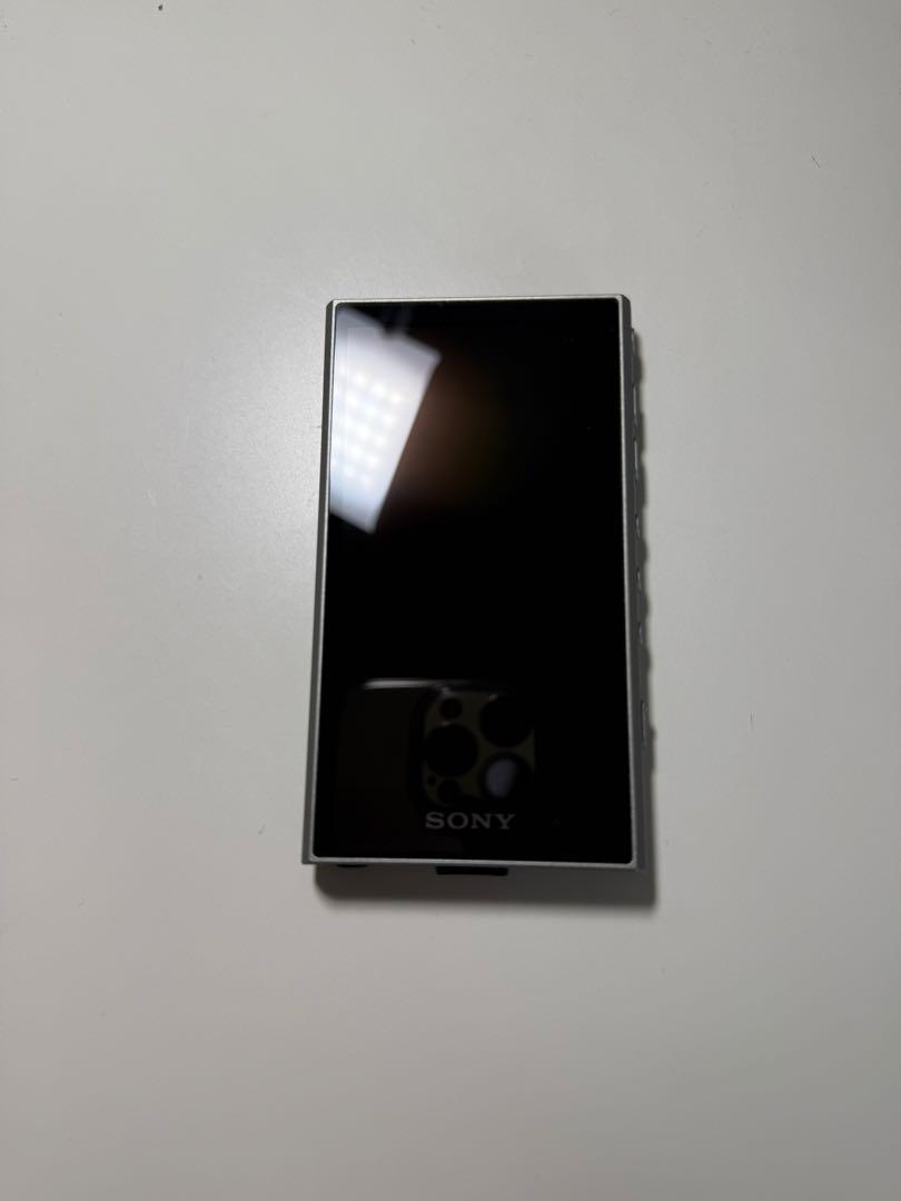 SONY WALKMAN NW-A307 カラー：グレー