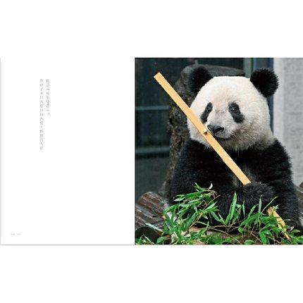 上野動物 パンダシャンシャン写真集（日本未発売）「被宠溺的表情　香香在东京」国宝