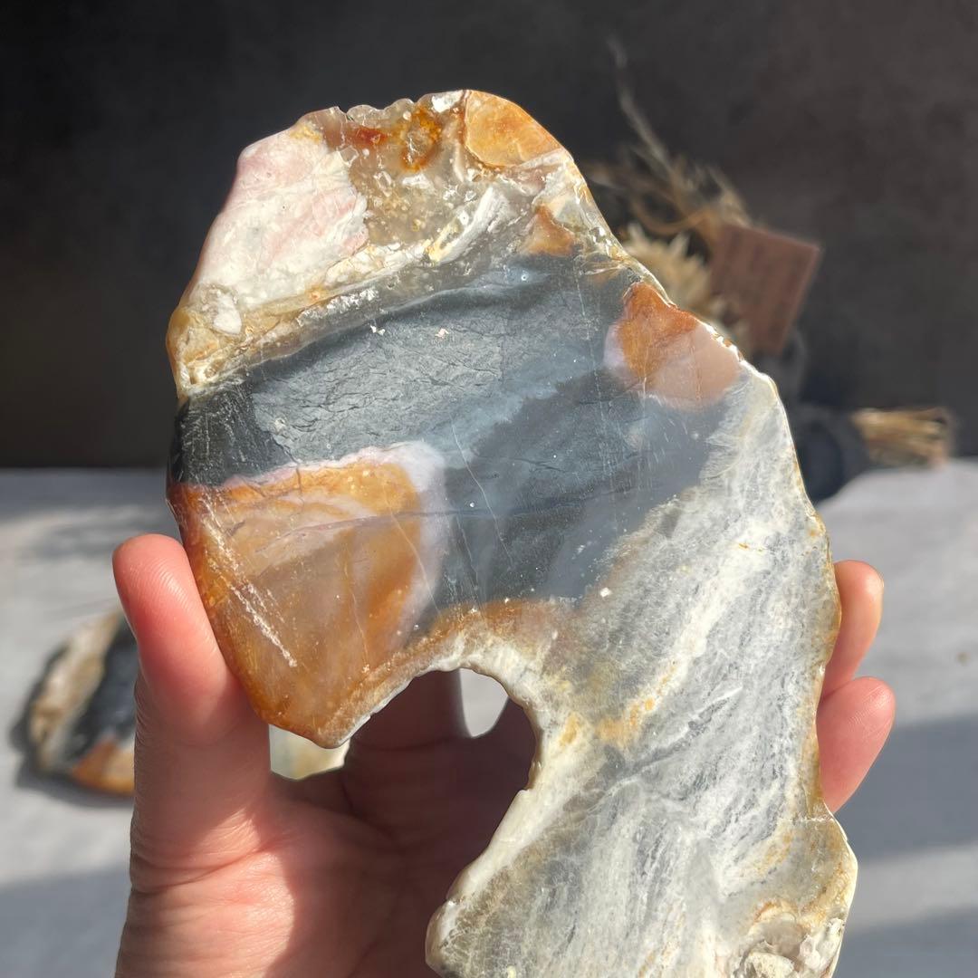 インドネシア産 ペトリファイドウッド 珪化木 スラブ プレート インドネシア産 ペトリファイドウッド 珪化木 スラブ プレート 珪化木