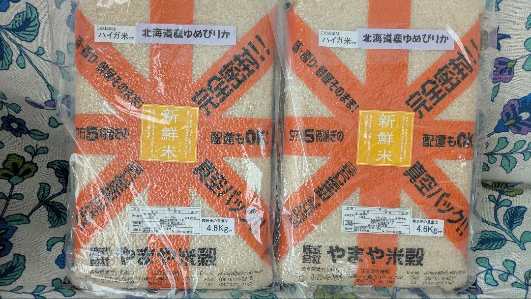 ゆめぴりか 令和4年 古米 真空パック 胚芽米 ４.６kg×２