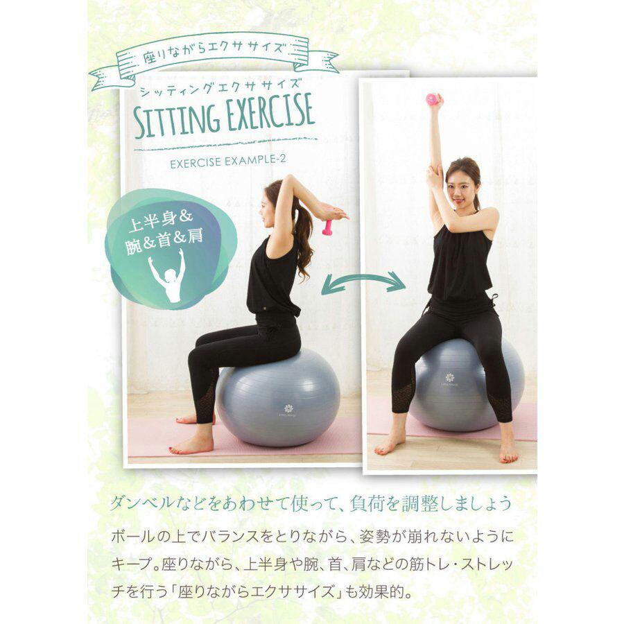 メルカリ バランスボール ヨガボール 55cm 腹筋 ダイエット ピン抜き付き シルバー トレーニング用品 0 中古や未使用のフリマ メルカリ バランスボール ヨガボール 55cm 腹筋 ダイエット ピン抜き付き シルバー トレーニング用品 0 中古や未使用のフリマ