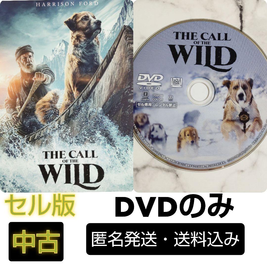 かもめの城('65仏/米) 廃盤DVD 紀伊國屋書店