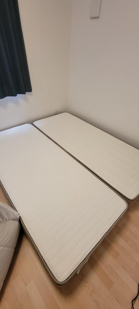 まりも
