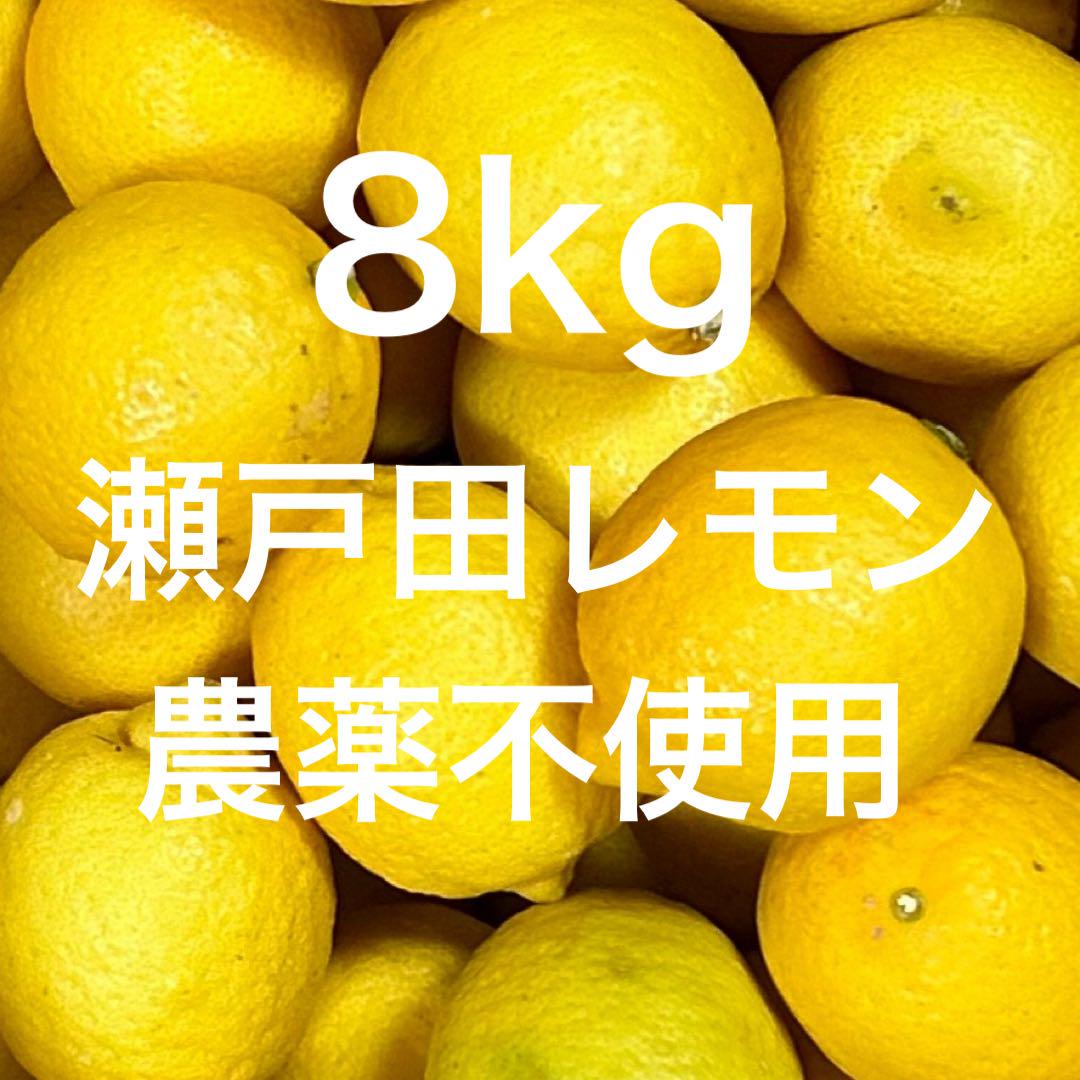 国産　瀬戸田レモン農薬不使用　　n