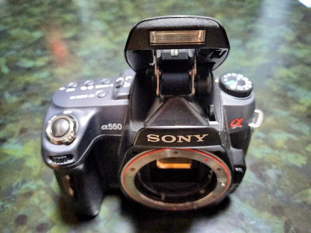SONY