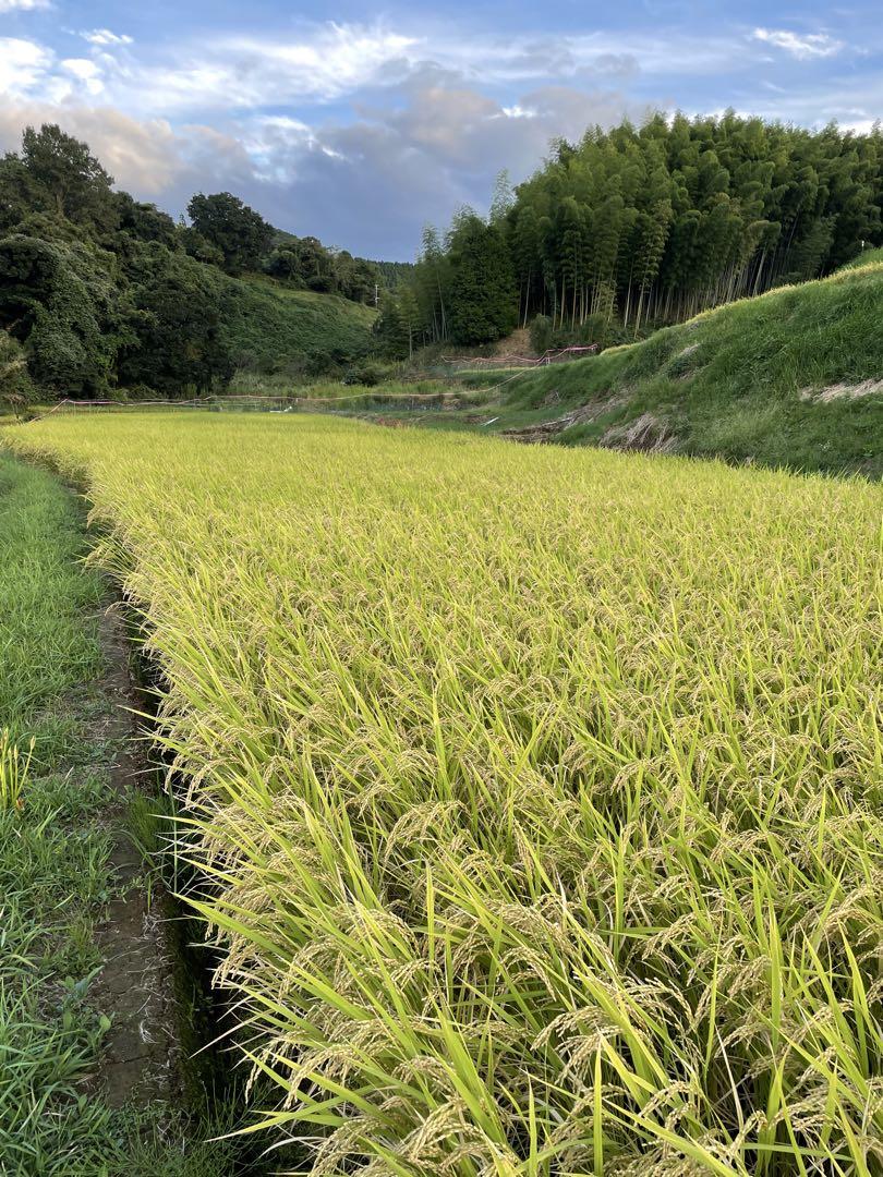 マイメロディ様専用ページです。お申し込みされて無い方のお買い上げはご遠慮願います