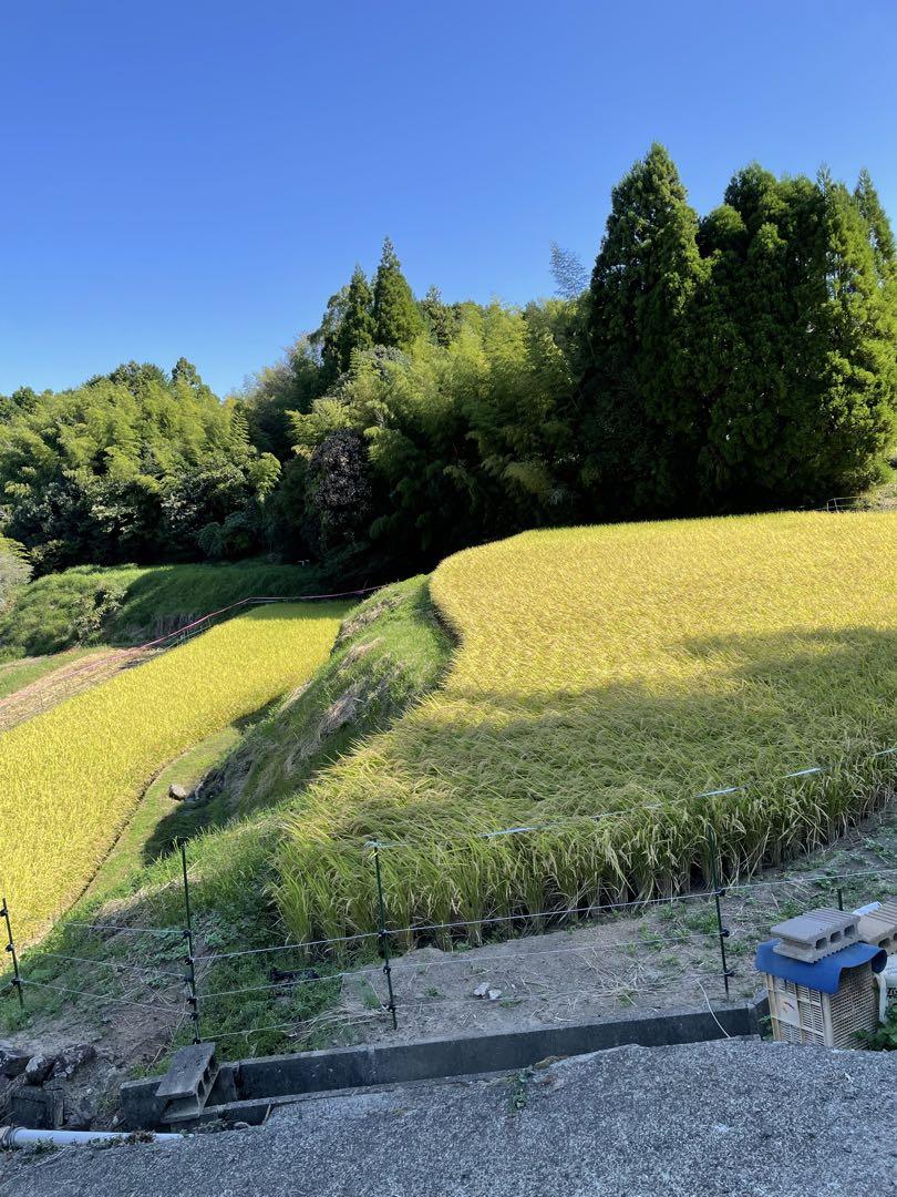 マイメロディ様専用ページです。お申し込みされて無い方のお買い上げはご遠慮願います