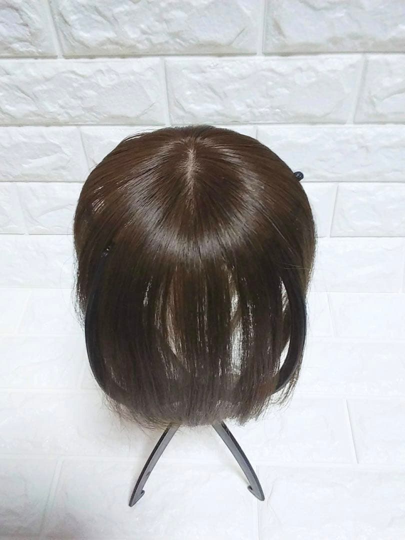 2022人気の ギンカウィンカ ドレスドヘアー (バングなし) ブラウン