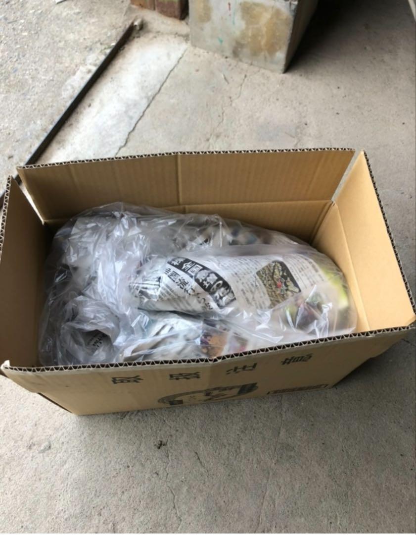 たけのこ約10kg 6980円
