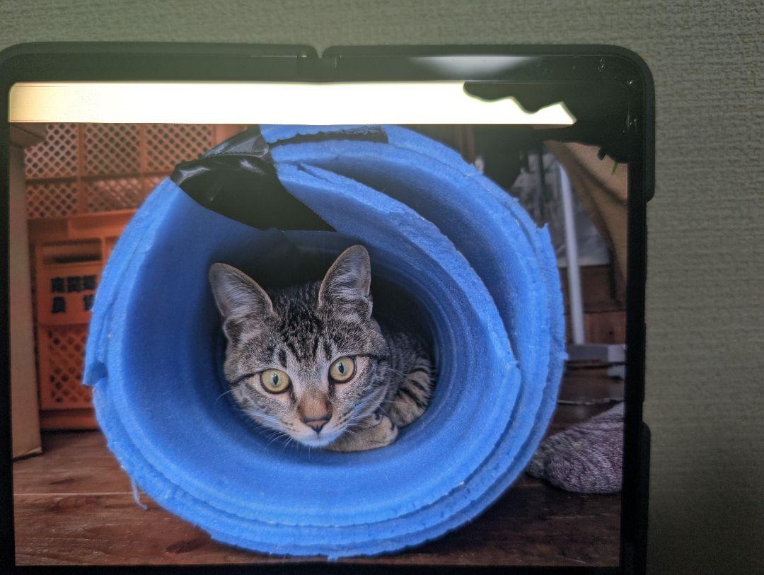 Google Pixel Fold Obsidian 256 GB SIMフリー