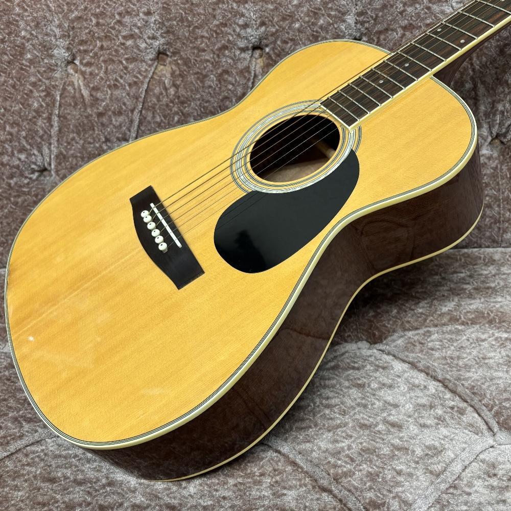レジェンド Aria Lejend FG-20N アコースティックギター アコギ