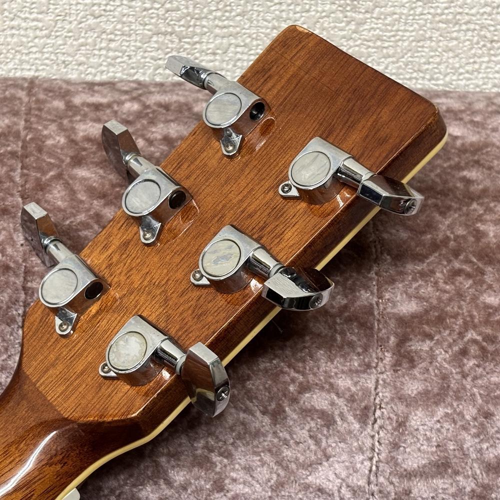 レジェンド Aria Lejend FG-20N アコースティックギター アコギ