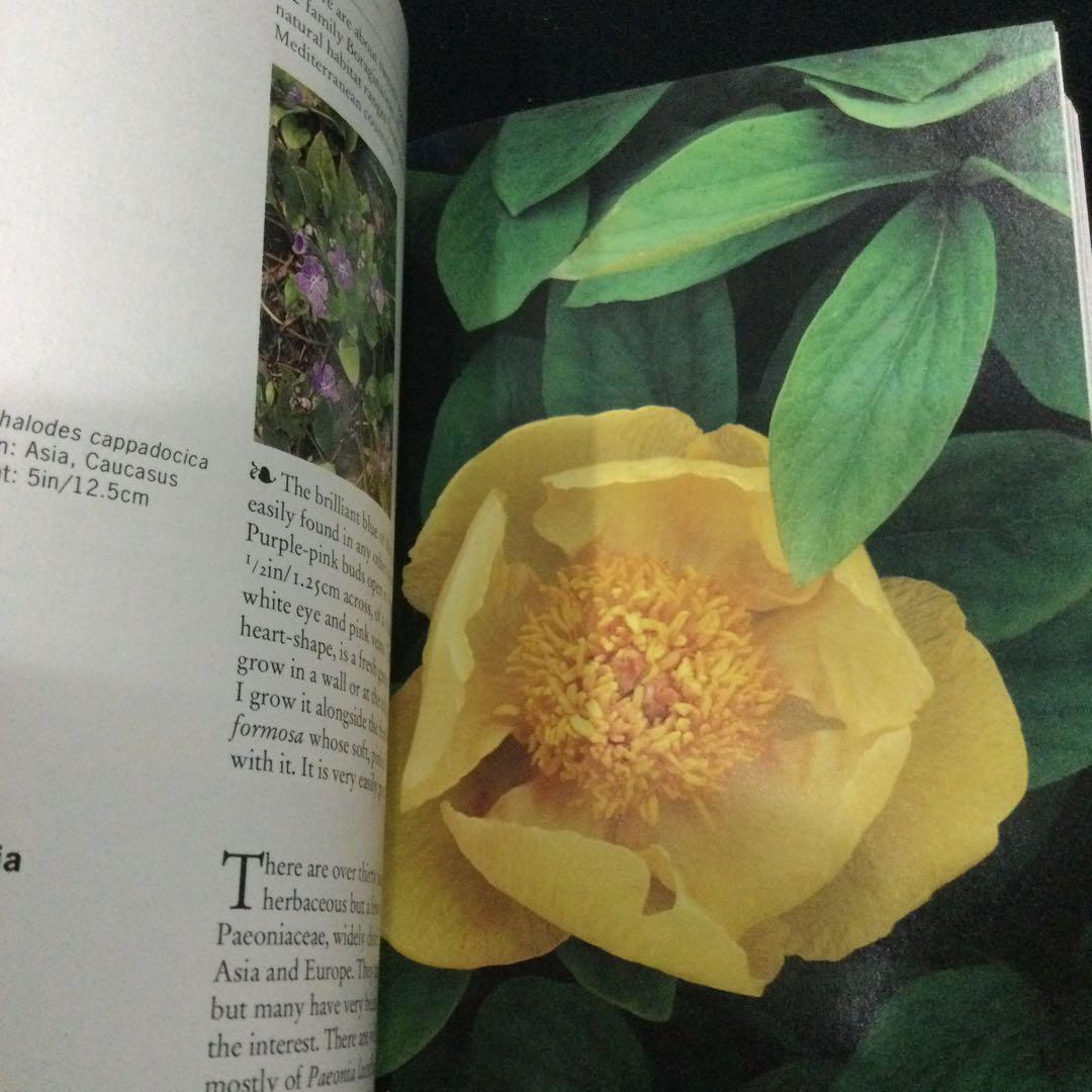 洋書植物 植物 図鑑 洋書 英語 ガーデニング 庭 本 花 フラワー 植物図鑑