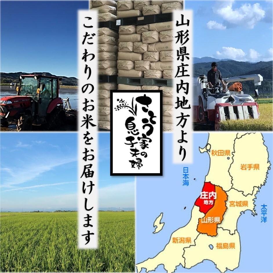 新作人気 中米 令和3年新米 山形県庄内産 中粒米 玄米20kg itBaF-m70632689399 得価定番