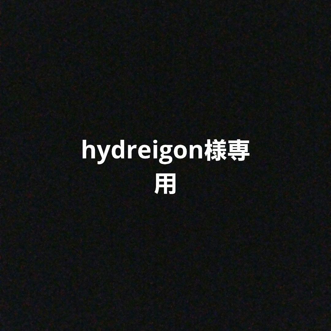 ウィッグ・エクステ hydreigon