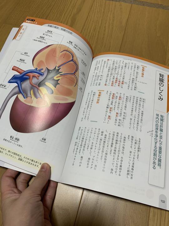 からだの事典 しくみと病気がわかる 精密イラストで解説 免疫