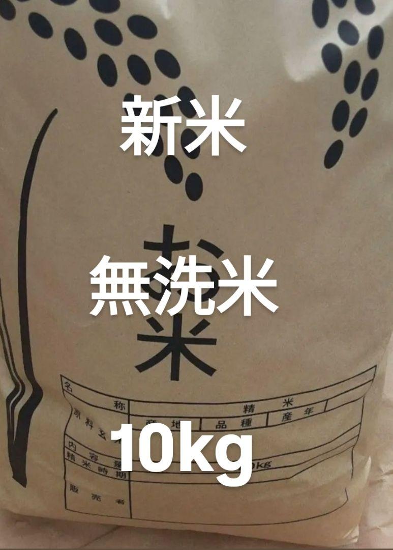 神奈川県産 奨励品種学校給食米はるみ米 令和6年度産新米20kg