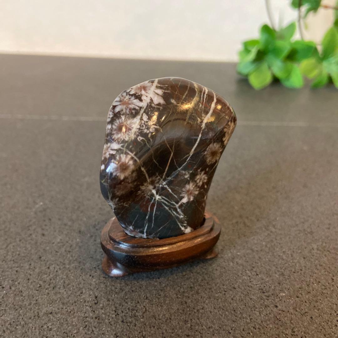 菊花石 6.15㌔ 鑑賞石 観賞石 水石 盆石 天然石 置物 菊花石 6.15㌔ 鑑賞石 観賞石 水石 盆石 天然石 置物