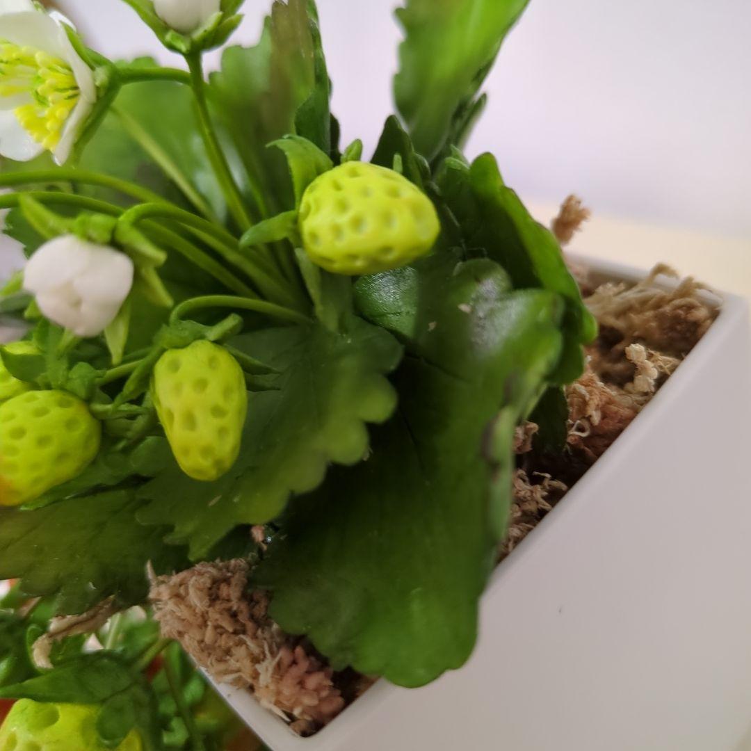 専用 イチゴの鉢植えとスイトピーアレンジ クレイフラワー クレイフラワーいちご - メルカリ