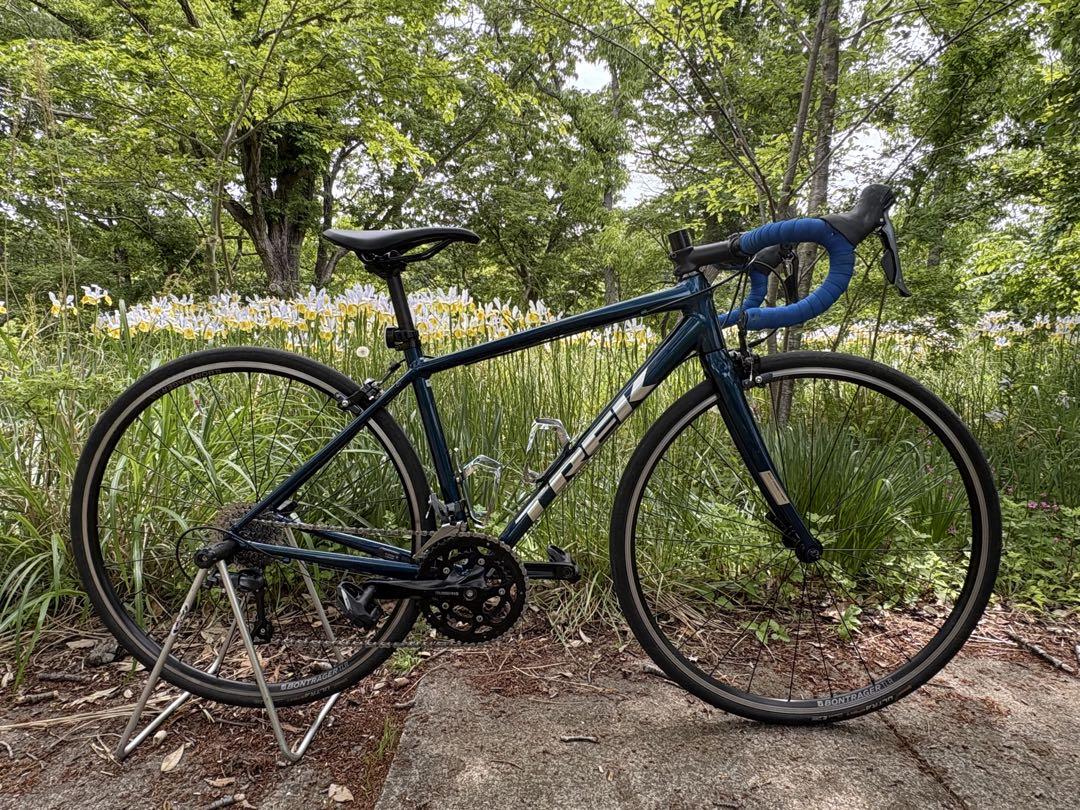 TREK DOMANE AL2 Rim サイズ50