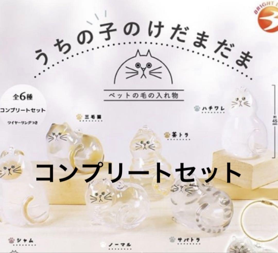 うちの子のけだまだま　ガチャ　コンプ　ハチワレ　三毛猫　シャム　サバトラ　茶トラ