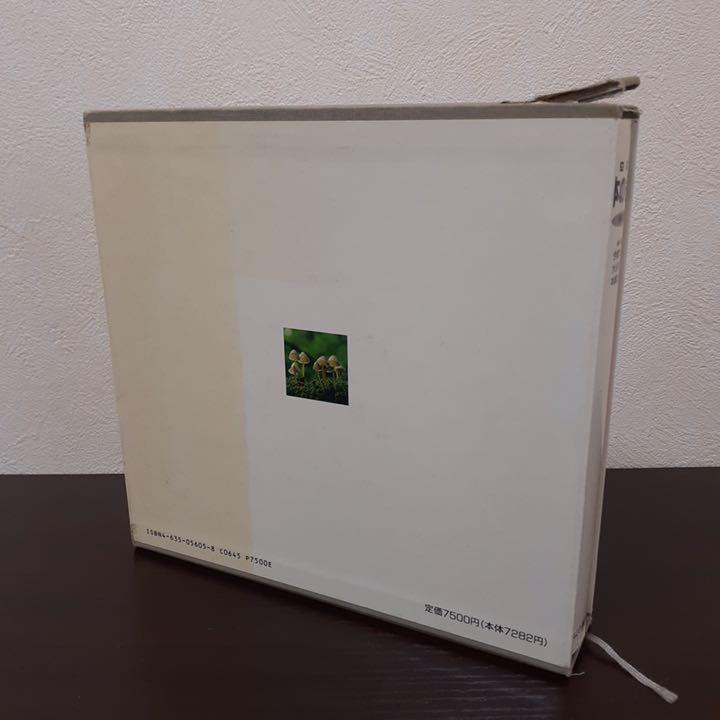 日本のきのこ
