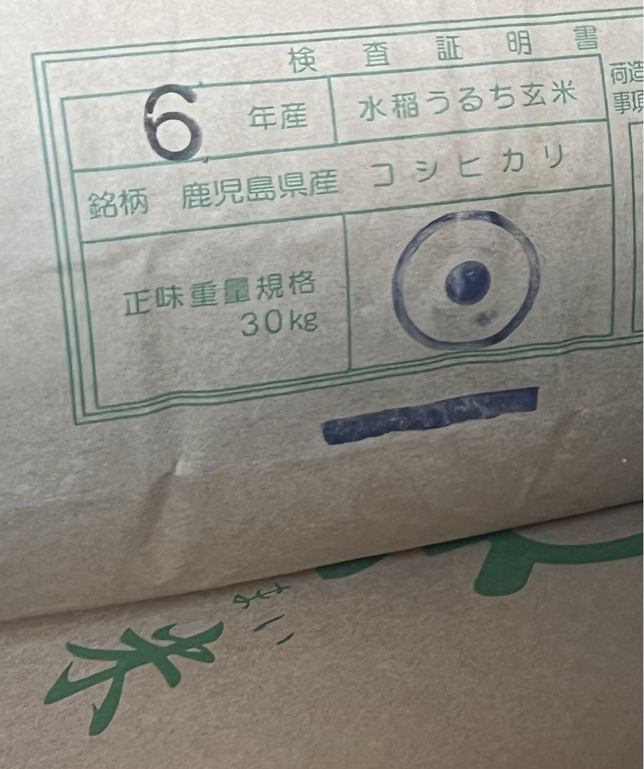 新米❗️令和6年新米イクヒカリ20㎏鹿児島県産 17精米済