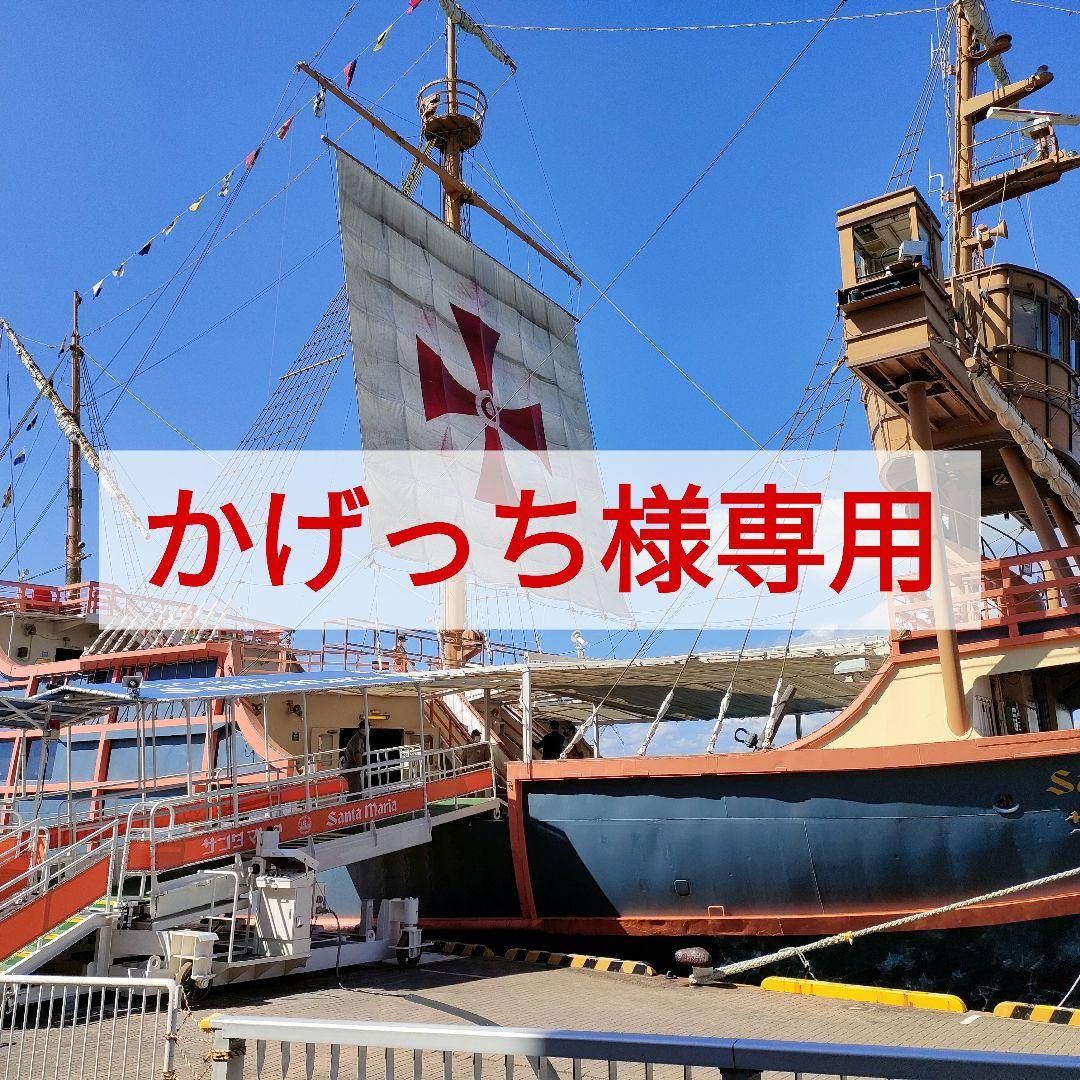 かげっち様専用