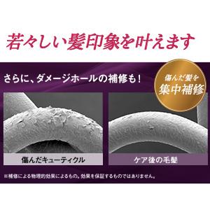 大容量 ヘアトリートメント 100ml×3本 1iOwV-m70758691817 フラコラ プロヘマチン原液 豊富な特価