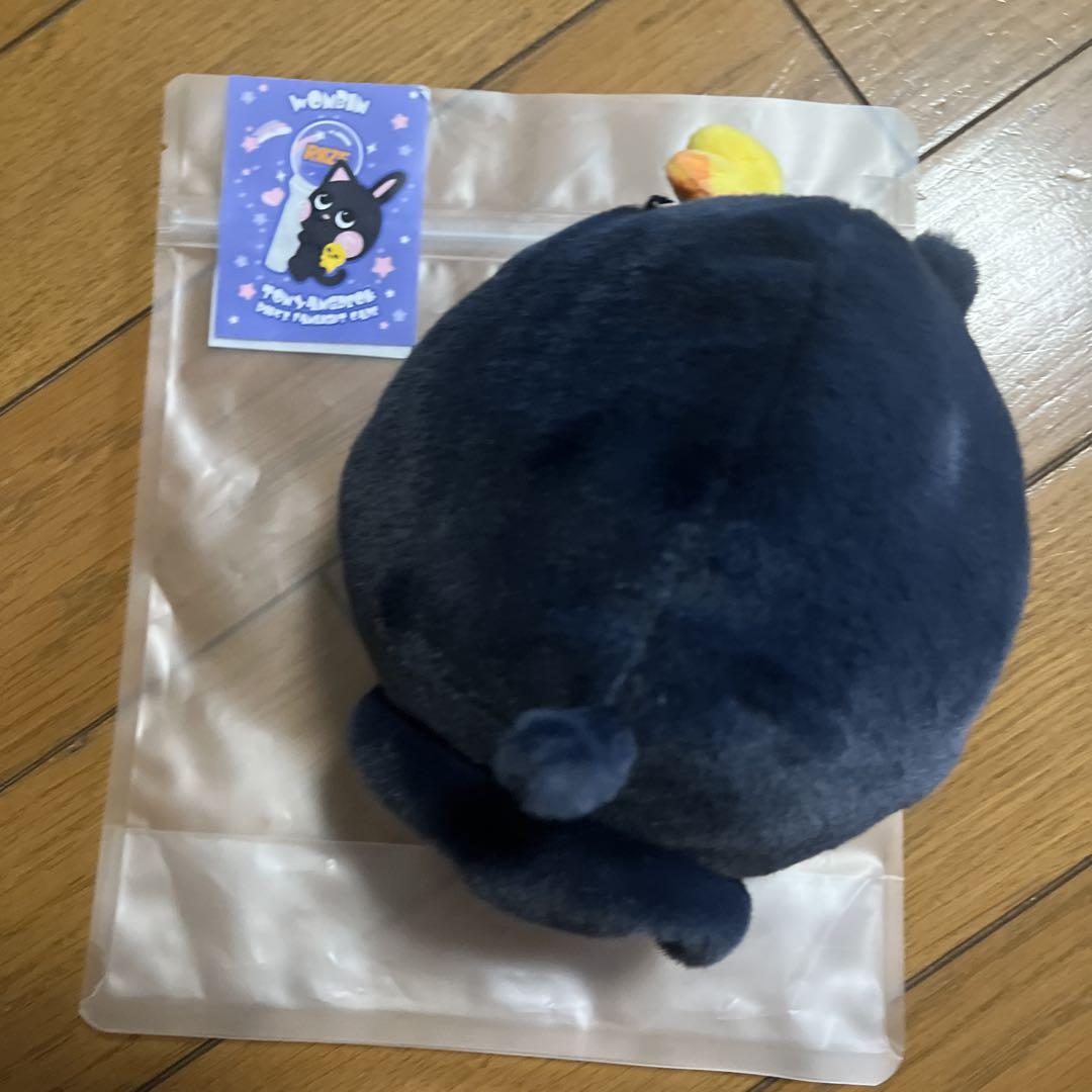 RIIZE ウォンビン トニャンドク ペンライトカバー シュシュセット riize ウォンビン トニャンドク ペンライトカバー ケース - メルカリ