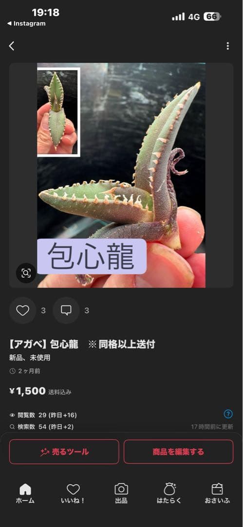 FK様 リクエスト 2点 まとめ商品